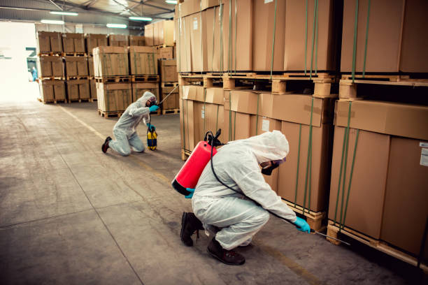 Best Termite Control Services  in Dillonvale, OH