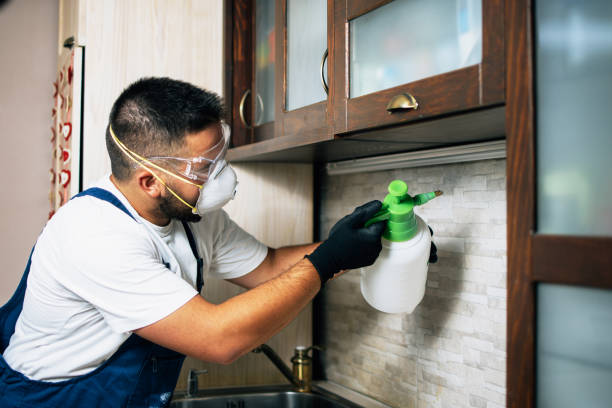 Pest Prevention Services in Dillonvale, OH