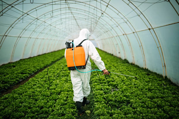Best Emergency Pest Control  in Dillonvale, OH