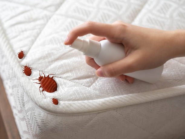 Best Pest Prevention Services  in Dillonvale, OH