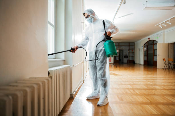 Best Flea Control Services  in Dillonvale, OH