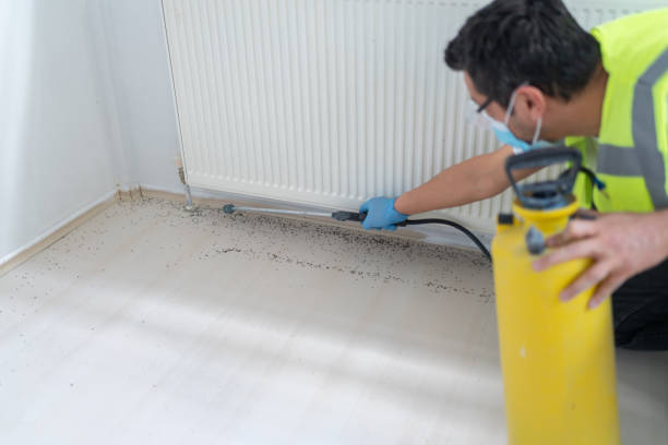 Best Insect Control  in Dillonvale, OH
